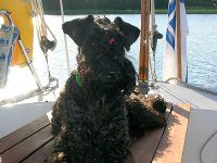 Geijes Zentara's Pearl onboard our sailing boat, summer 2005.