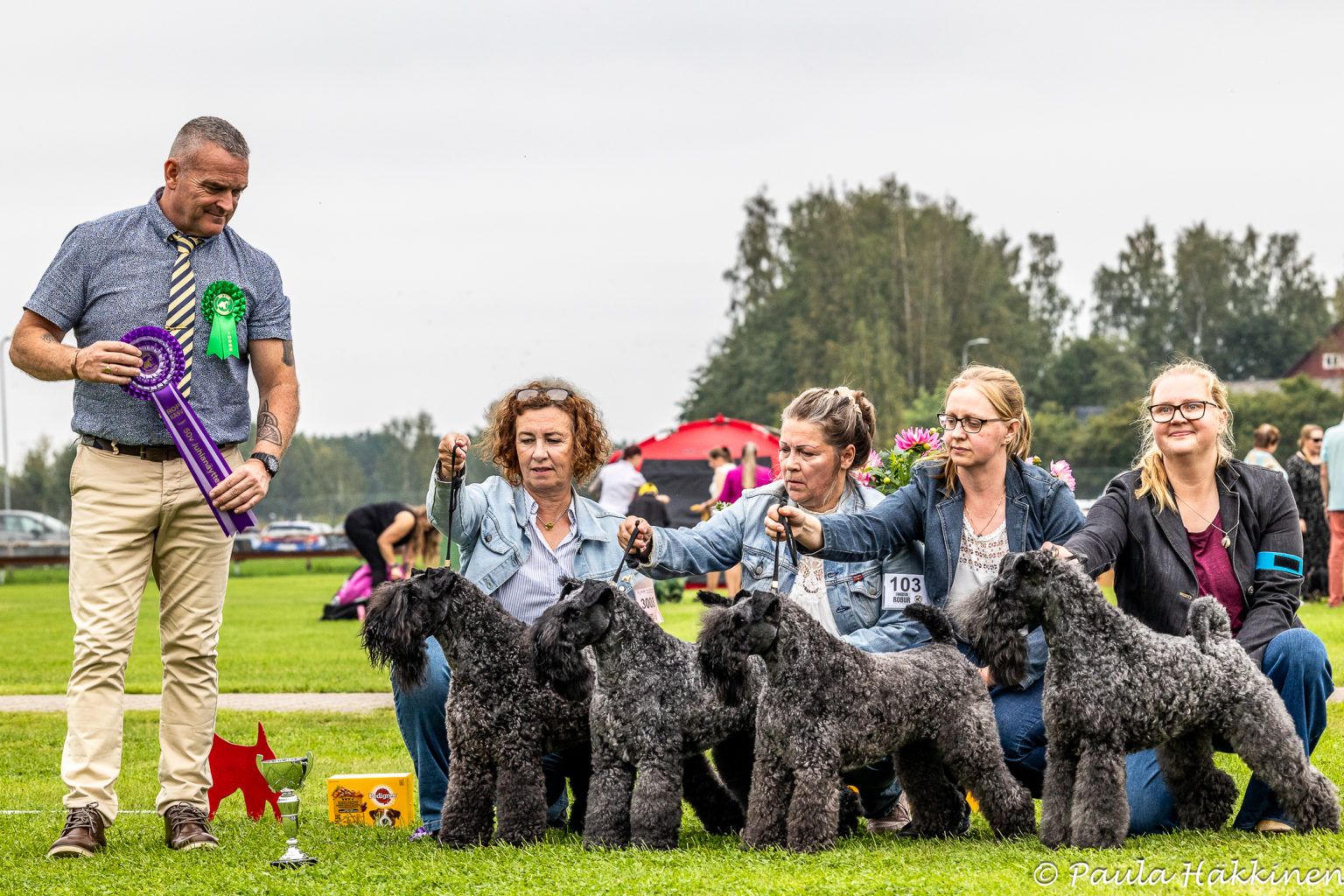 Geijes Kerrys BIS Breeders Class at Finnish Kerry and Wheaten Club's 50th Anniversary Show