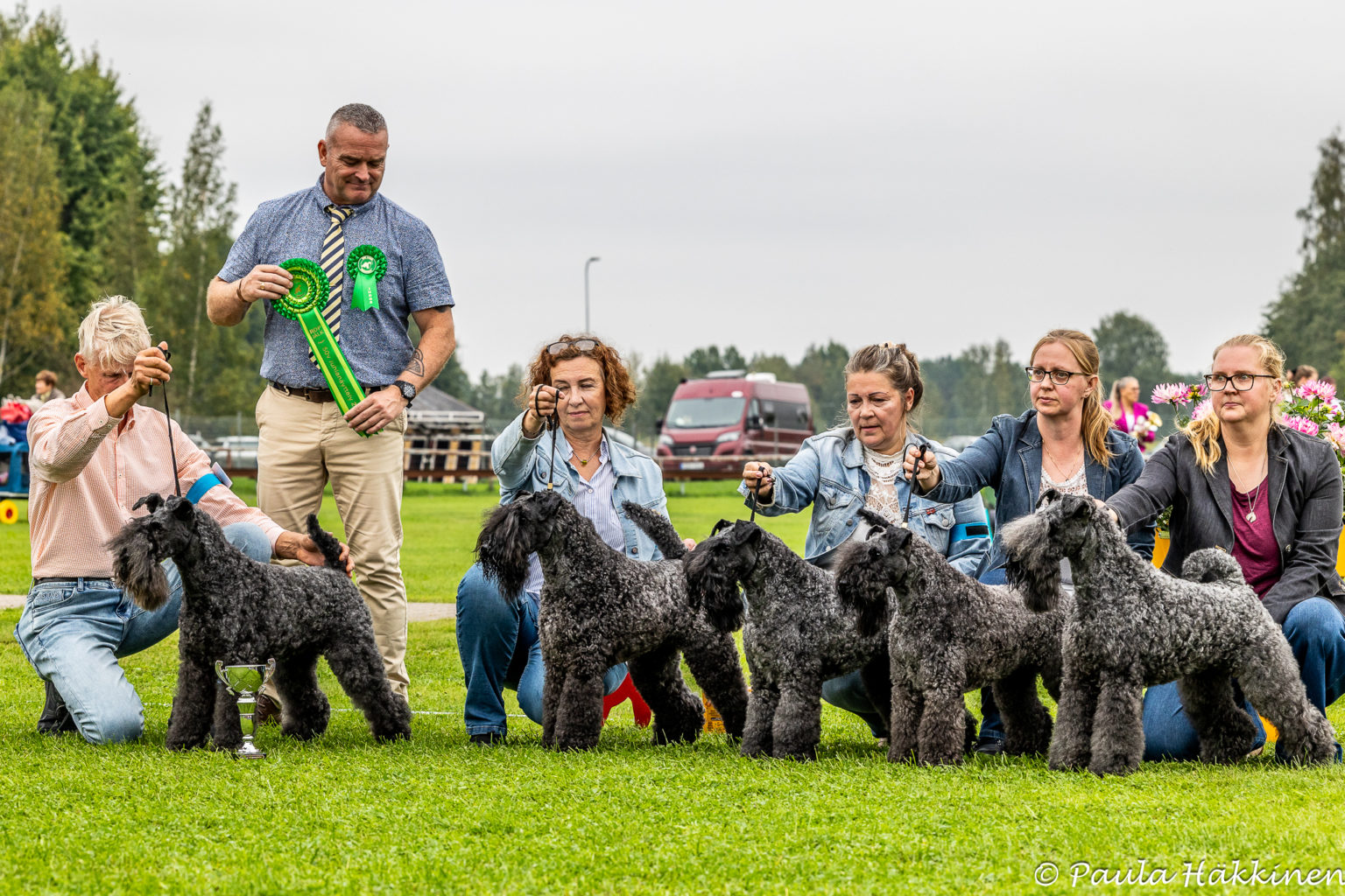 Geijes Kerrys BIS Progeny Class at Finnish Kerry and Wheaten Club's 50th Anniversary Show